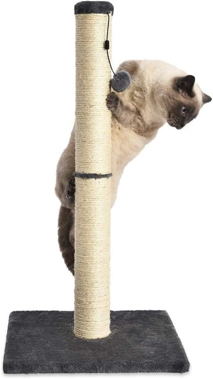 Amazon Basics Cat Scratching Post for Indoor Cats & Kittens, Medium (31.5"H), Cat Furniture with Dangling Ball Toy, Grey4