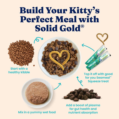Solid Gold Wet Cat Food Pate for Indoor Cats - Healthy Canned Cat Food Pate W/Real Chicken, Omega Fatty Acids, Vitamins & Minerals - Grain Free & Gluten Free Can Meals for Cats & Kittens - 24Ct/3Oz8