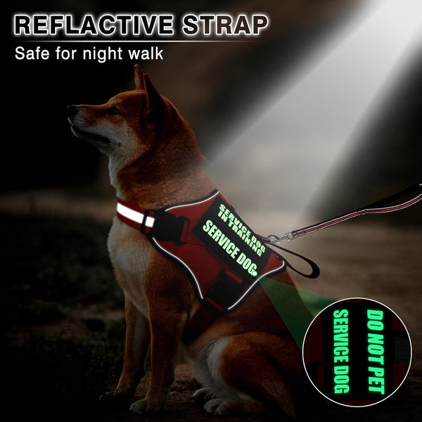Service Dog Vest Harness and Leash Set+10 Patches,No Pull&Adjustable Reflective Dog Harness with Soft Padded Handle for Training/Everyday,Fit Small/Medium/Large/Extra-Large Dogs(Red XL) | No Pull&Adjustable Reflective Service Dog Harness Large Sized,Dog Leash with 2 Soft Padded Handles,For Training Working6