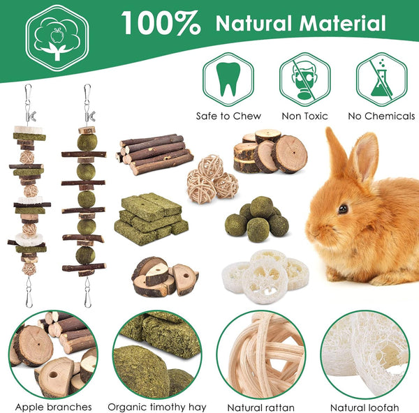 KATUMO Rabbit Chew Toys, Bunny Toys Apple Wood Grass Timothy Treat | DIY Hamster Chew Kit Bunny Teeth Care Molar Toys, Ideal for Rabbit, Guinea Pig, Chinchilla, Hamster, Squirrel, Gerbils4