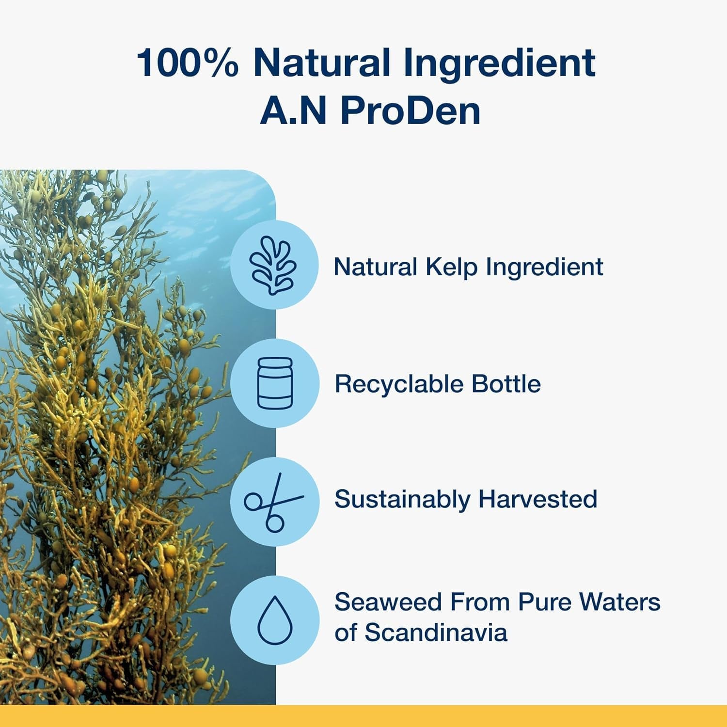 proden-plaqueoff-powder-for-dogs-dog-tartar-and-plaque-remover-60g-vohc-accepted-dental-powder-for-pet-oral-care-supports-fresher-breath-and-dental-hygiene-100-natural-kelp-formula
