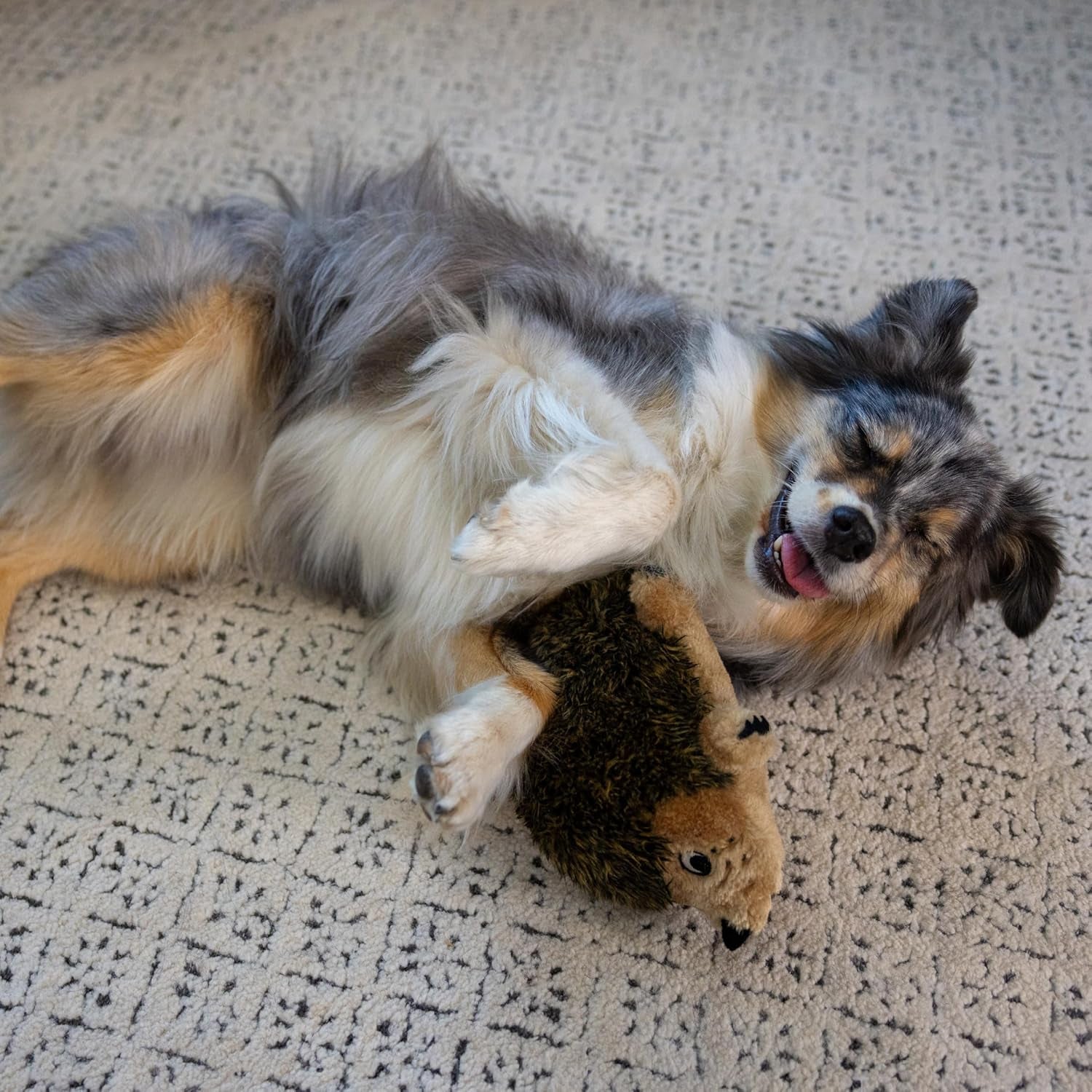 outward-hound-hedgehogz-stuffed-dog-toy-soft-plush-hedgehog-grunts-squeaks-medium-9-x-5-x-6-5