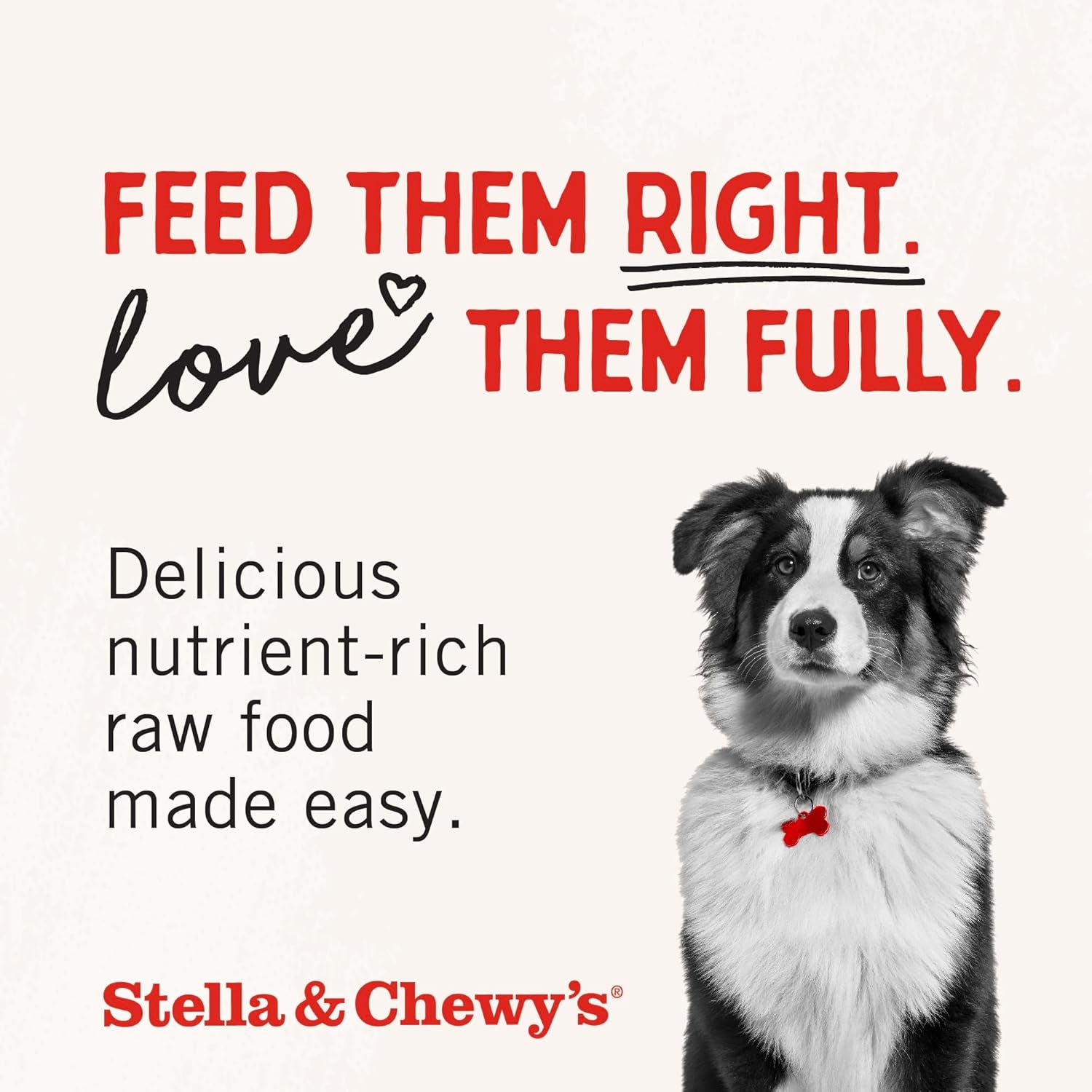stella-chewys-freeze-dried-raw-chicken-heart-dog-treats-single-ingredient-no-additives-premium-training-treats-perfect-for-picky-eaters-11oz-bag