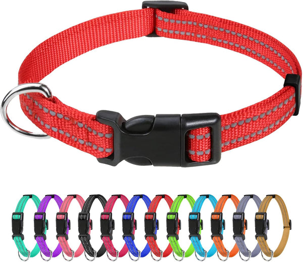 Tagme Small Dog Collar, Reflective Puppy Collar, Sky Blue, 3/8" Width | Lightweight, Nylon Collar for Puppies, Chihuahua, Yorkie & Teacup Dogs 5-15 Lbs, Reflective for Evening Walks, 12 Colors44