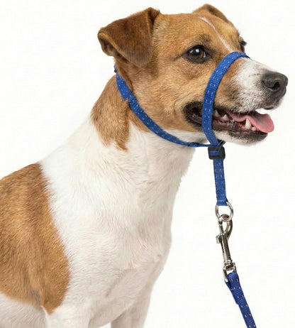 Headcollar for Dogs, Extra Soft Padded, Reflective, No Pull Dog Collar, Gentle Leader for Dogs with Durable Nylon Leash, Padded Handle - Navy Blue (Large)9