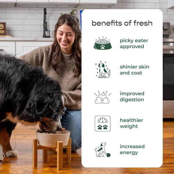 Freshpet Healthy & Natural Large Dogs/Breeds Dog Food, Fresh Multi Protein Recipe, 5Lb7