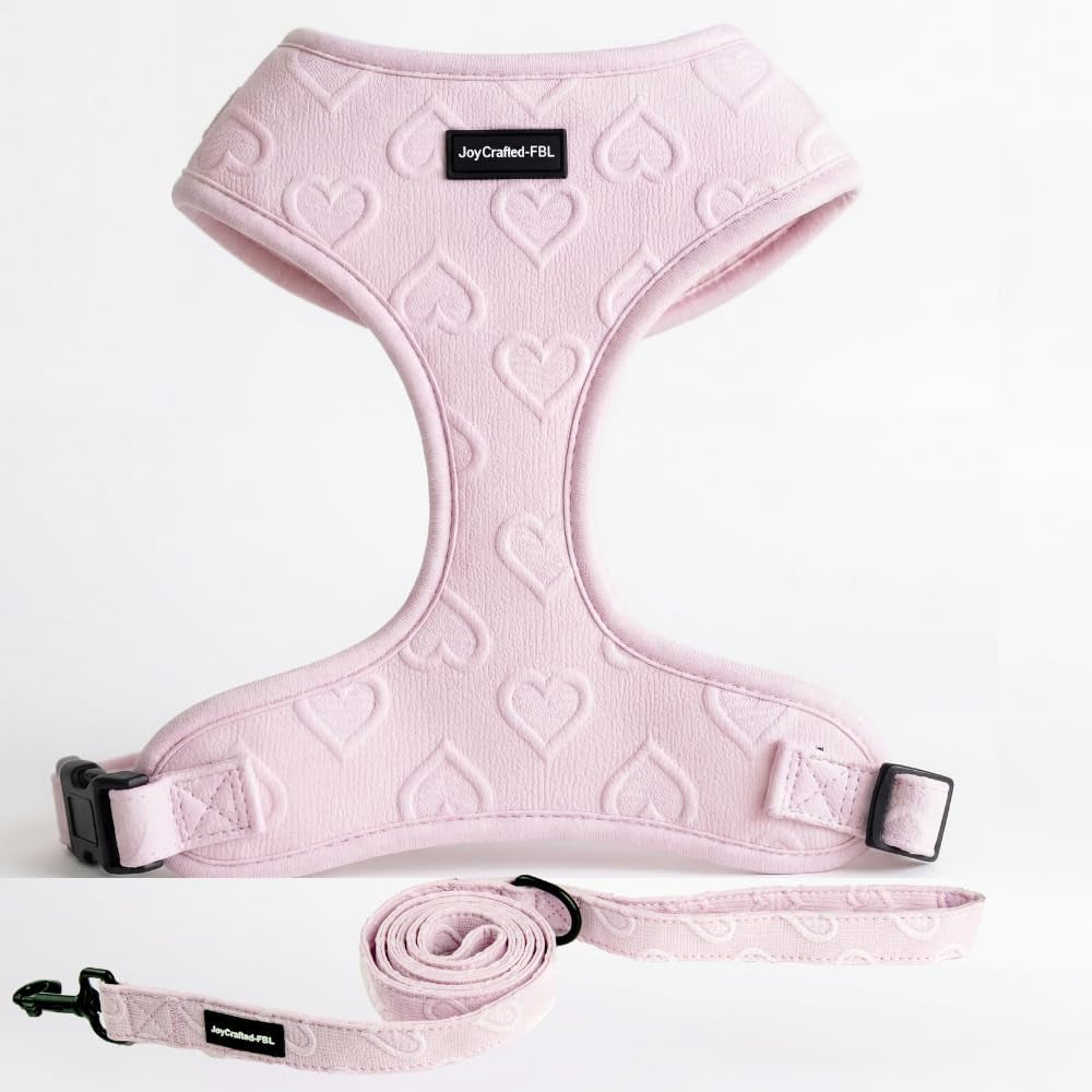 no-pull-harness-leash-set-for-small-sized-dogs-soft-padded-breathable-neoprene-harnesses-lightweight-adjustable-step-in-vest-with-cute-heart-print-secure-back-d-ring-neck-13-17-chest-16-21