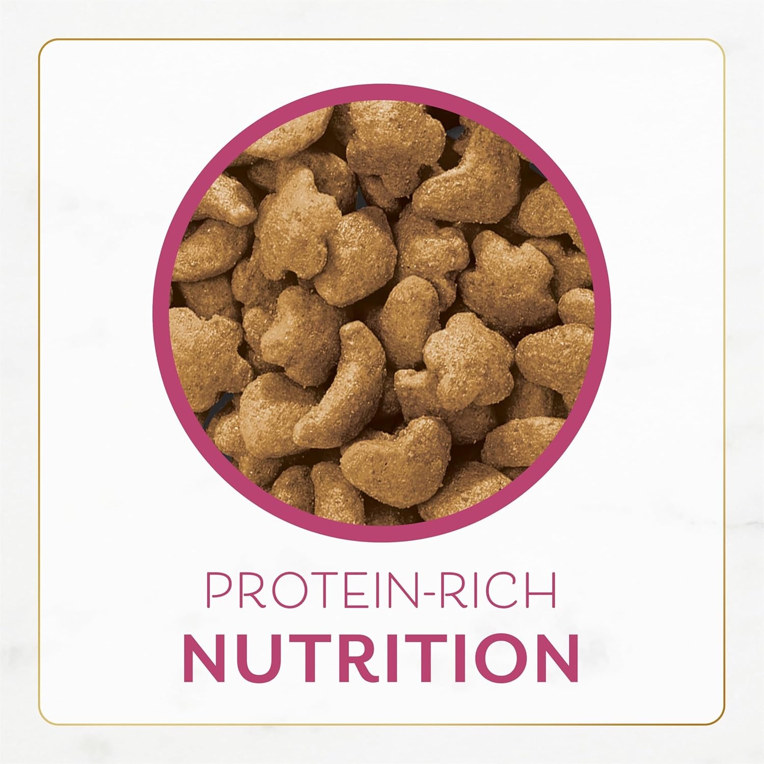 purina-fancy-feast-dry-cat-food-filet-mignon-flavor-with-seafood-and-shrimp-3-lb-bag