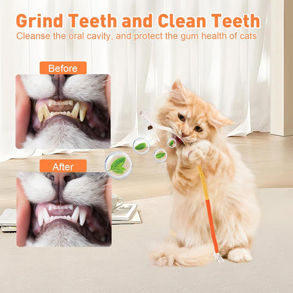 TEAWOO Cat Toys Chew Ropes 3Pcs with Natural Catnip, Safe Teeth Cleaning Toy for Indoor Kittens, Interactive Cat Kitty Toys for All Breeds (27.56 Inches, 3 Bags of Catnip Included)5