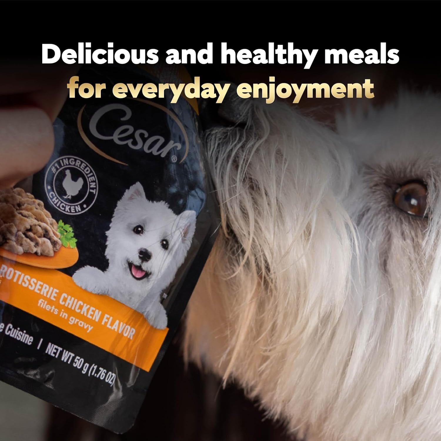 cesar-mini-pouch-wet-dog-food-filet-variety-pack-1-76-oz-40-count-3-flavors-rotisserie-chicken-filet-mignon-wood-grilled-chicken-real-chicken-or-beef-easy-peel-and-serve-protein-packed