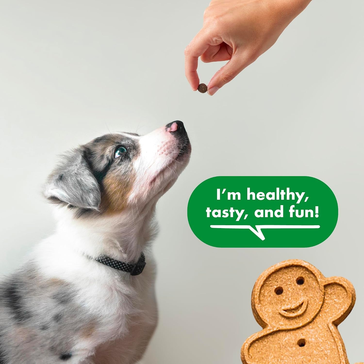 buddy-biscuits-trainers-training-bites-soft-chewy-dog-treats-chicken-10-oz-pouch