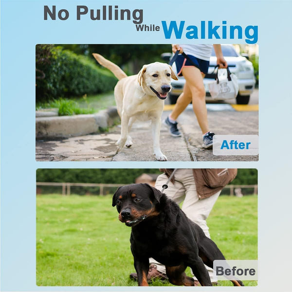Prong Collar for Dogs, Dog Training Collar for Small Medium Large Dogs | Dog Pinch Collar, Adjustable Size, No Pull, Quick Release Buckle, Hook 360° Swivel, High Quality, Extra Link and Rubber Cap2