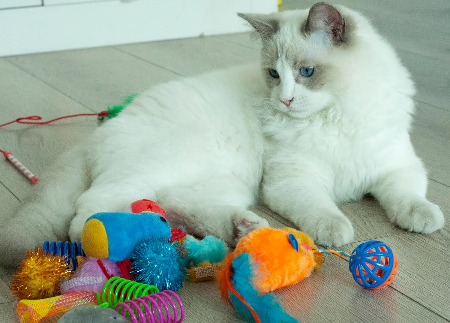 fashions-talk-cat-toys-kitty-variety-pack-for-kitten-cats-20-count-plush-teaser-ball-catnip-mice-cat-spring