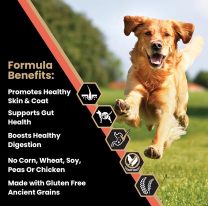 VICTOR Super Premium Dog Food — Sensitive Skin and Stomach — Salmon Meal & Brown Rice Recipe Dry Kibble — Gluten Free, No Chicken, Ideal for Dogs with Allergies — Adult and Puppy Food, 5 Lb2