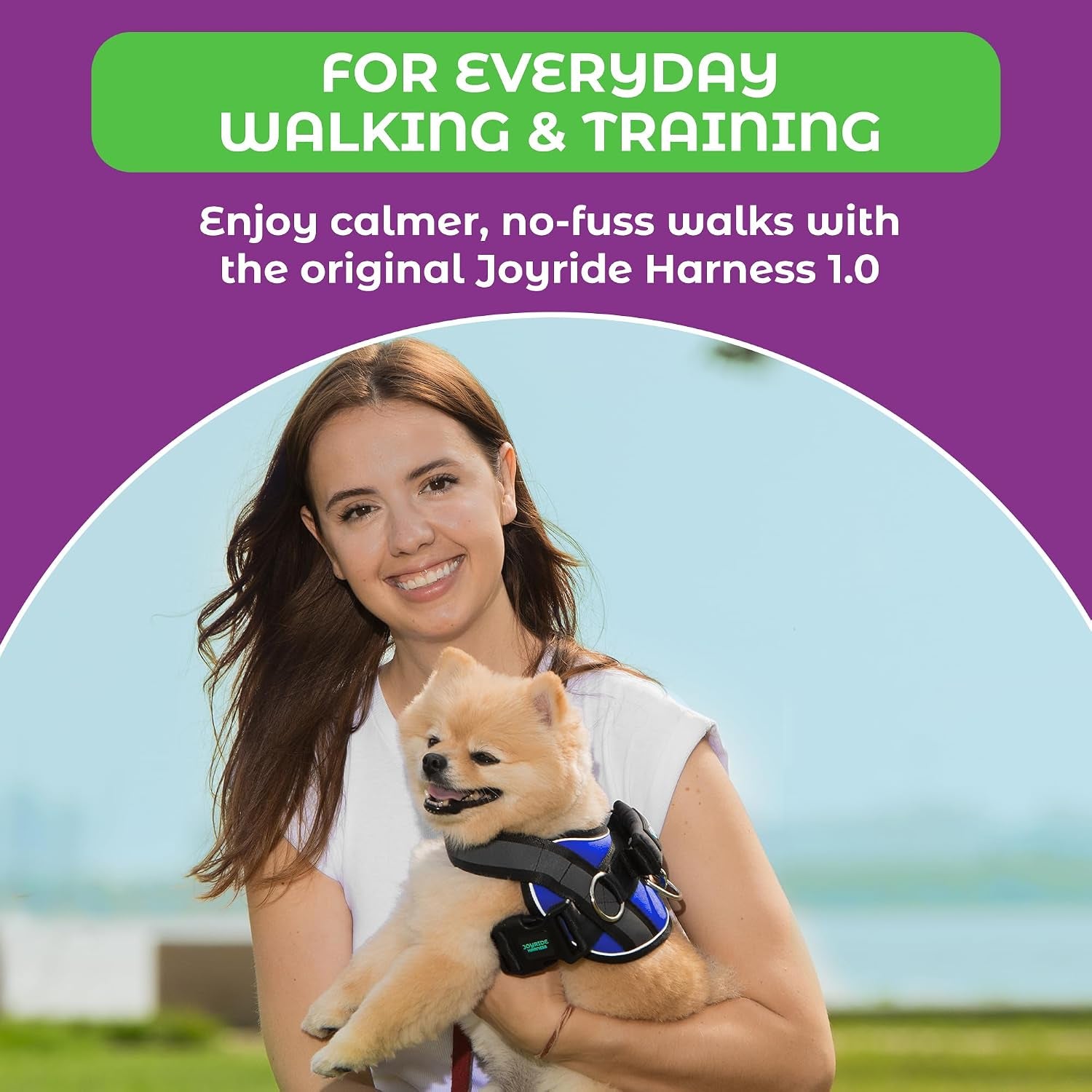 joyride-basic-dog-harness-1-0-blue-serenity-m-adjustable-pet-vest-with-3-side-leash-rings-for-training-walking-and-improved-control-for-small-medium-or-large-dogs