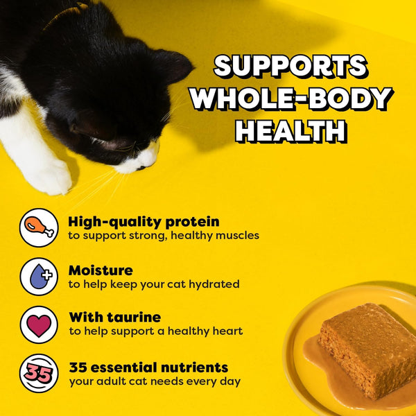 Temptations Pate in Gravy Wet Cat Food, Variety Pack, 3.5 Oz, 36 Count | Real Chicken or Salmon, 35 Vitamins & Minerals, Antioxidant Vitamin E, No Artificial Flavors, Supports Health & Hydration4