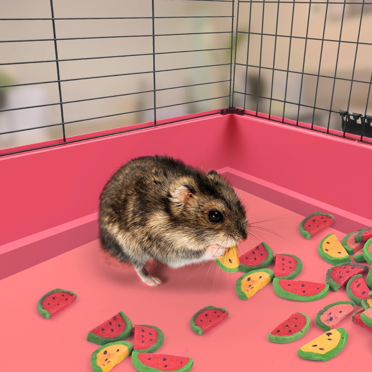katumo-bunny-chew-toys-rabbit-snacks-timothy-hay-treats-for-guinea-pig-200g-7oz-rabbit-chew-toys-for-teeth-natural-timothy-hay-beet-pumpkin-carrot-for-hamster-chinchilla-small-animals