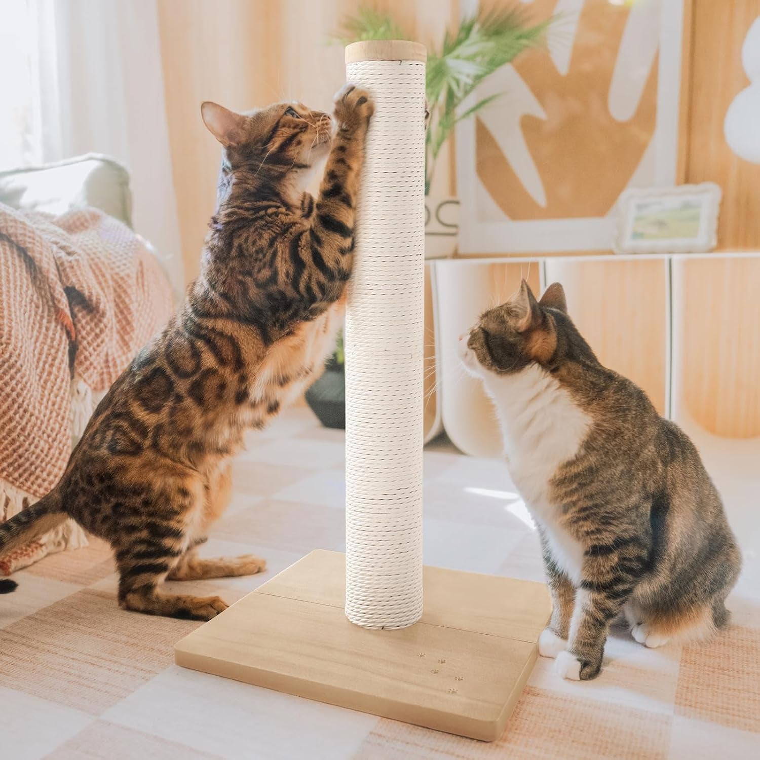 necoichi-23-6-tall-cat-scratching-post-kitten-scratcher-paper-rope-scratch-posts-trees-with-hanging-for-indoor-cats-23-6-inches-for-kitty-regular-oak