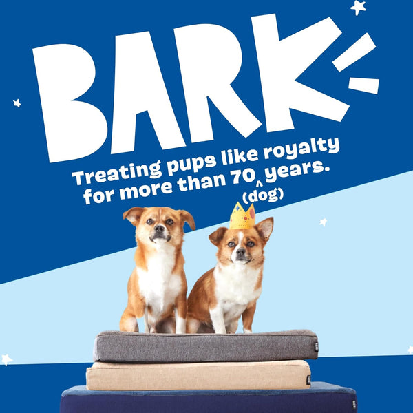 Barkbox Orthopedic Dog Bed - Large | with Memory Foam - Comfortable, Durable & Machine Washable Pet Bed - Grey6
