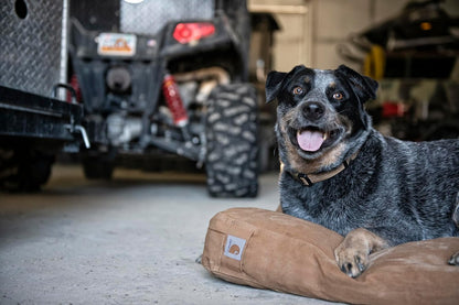 Carhartt Durable Canvas Pet Bed, Water Resistant Firm Duck Dog Bed, Carhartt Brown, Large6