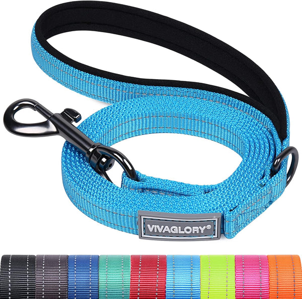 VIVAGLORY Dog Leash Puppy Leash for Collar, 3Ft X 1In, Black | with Soft Padded Handle for Training & Walking, Heavy Duty & Double Layer Nylon Pet Puppy17