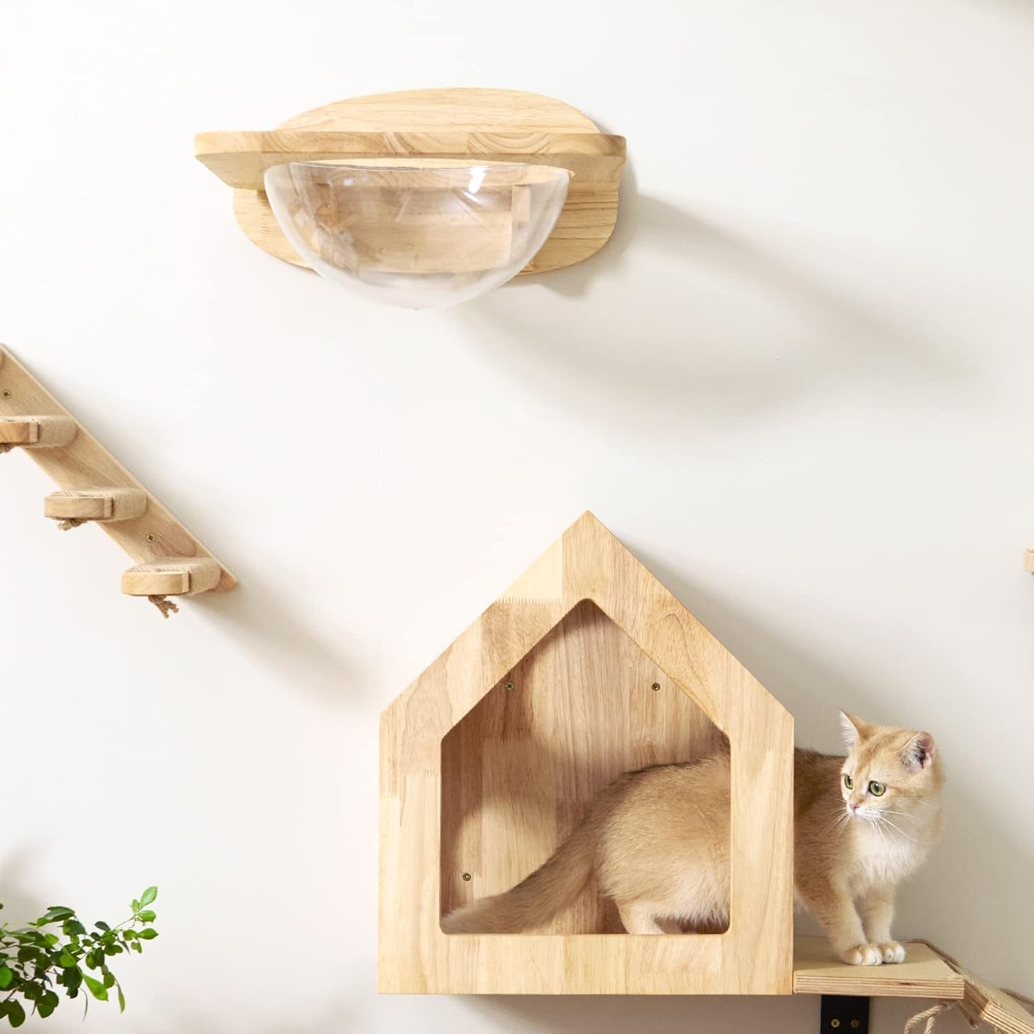 fukumaru-cat-wall-furniture-set-transparent-capsule-with-2-pcs-pedals-kitten-walls-shelves-premium-kitty-bed-for-sleeping-playing-climbing-lounging-holds-up-to-35-lbs