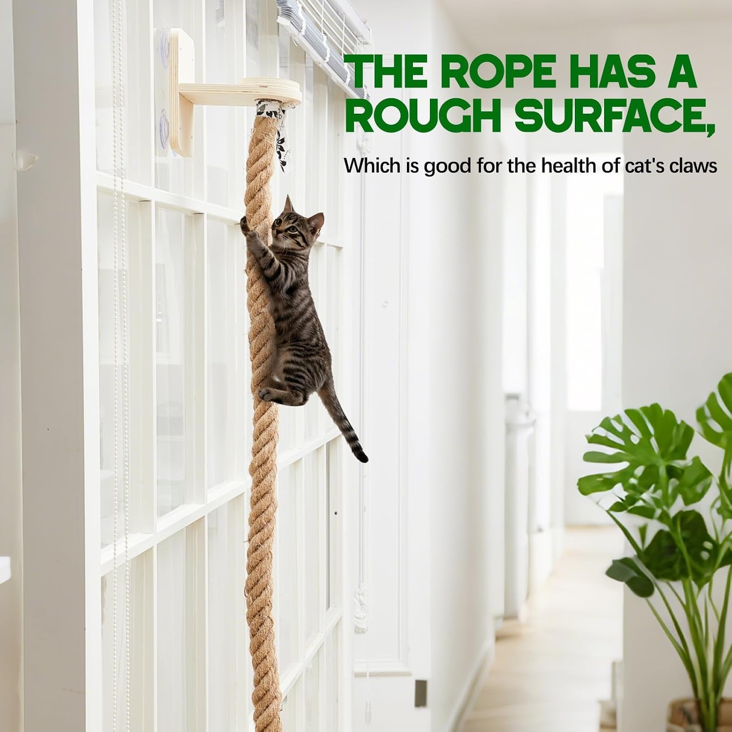 weysat-cat-climbing-rope-2-pcs-window-perch-with-59-1-inch-climbing-rope-wall-mounted-cat-tree-tower-toy-with-scratching-post-kitten-ladder-jumping-platform-wall-steps-for-playing-and-rest