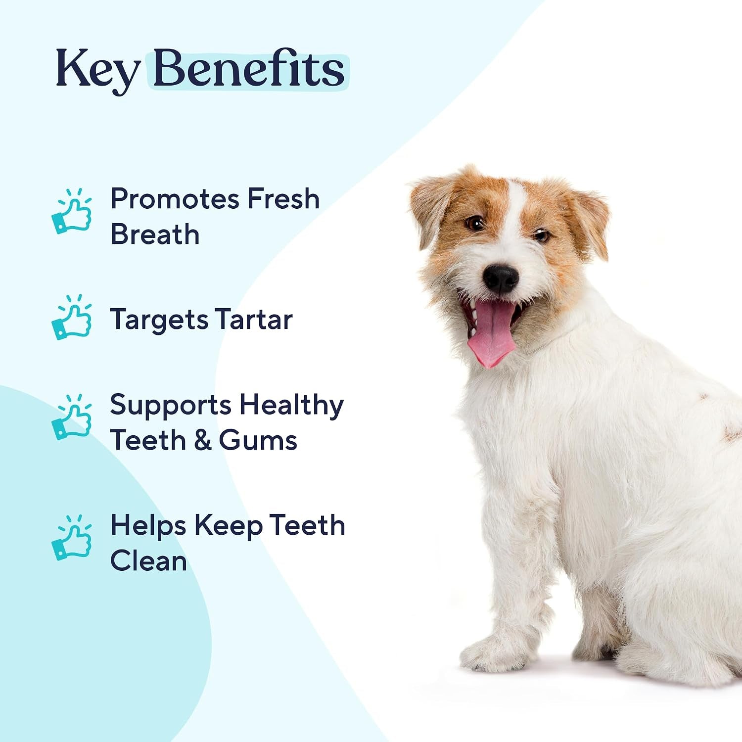 pawfy-dog-breath-freshener-with-specialized-dental-care-formula-dog-teeth-cleaning-mouthwash-helps-freshen-dogs-breath-with-easy-water-additive-supports-plaque-and-tartar-control
