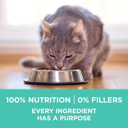Purina ONE Sensitive Stomach, Sensitive Skin, Natural Dry Cat Food, +Plus Sensitive Skin and Stomach Formula - 7 Lb. Bag8