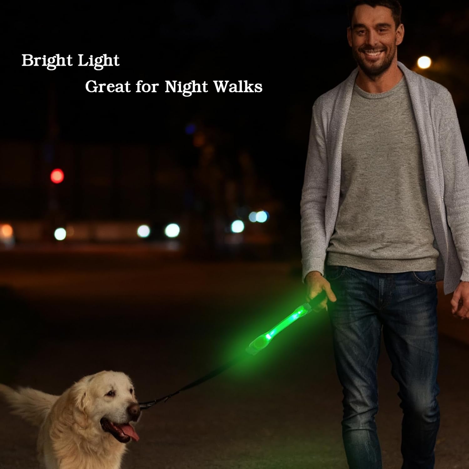 heavy-duty-dog-leash-and-led-light-set-led-light-with-nylon-stickers-universal-glowing-accessories-easy-to-attach-collar-leash-and-harness-safety-led-light-up-band-for-dogs-at-night-walking