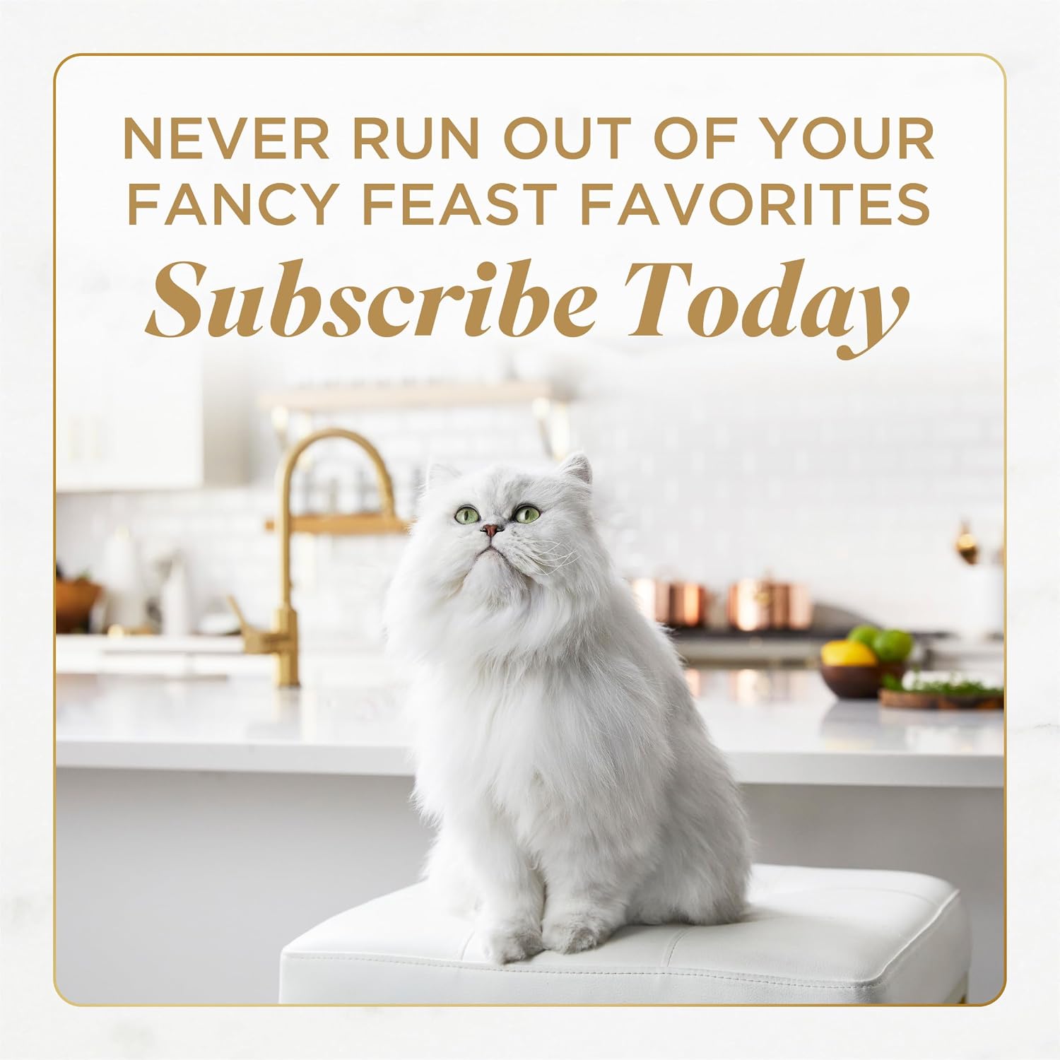 purina-fancy-feast-petites-seared-salmon-wet-cat-food-2-8-oz-12-pack