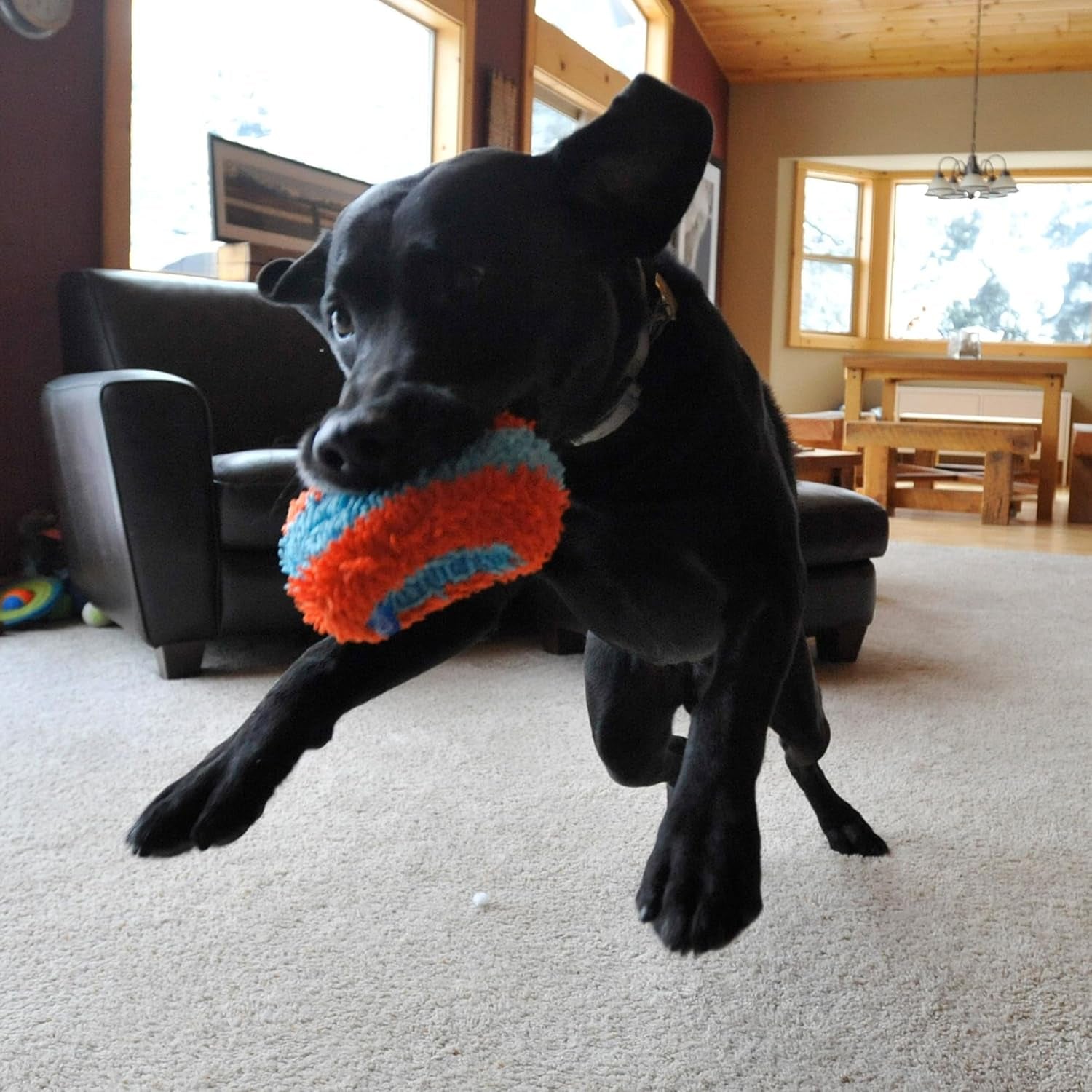 chuckit-indoor-fetch-roller-toy-for-dogs-interactive-dog-toys-for-boredom-orange-and-blue