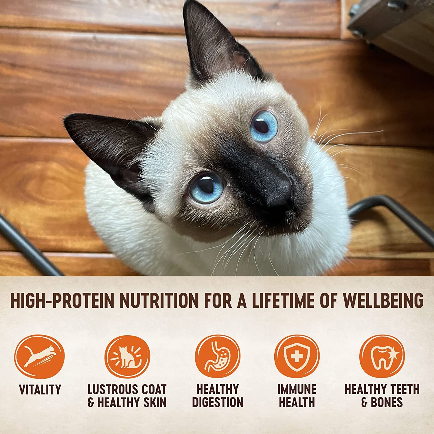 wellness-core-tiny-tasters-pate-variety-pack-adult-wet-cat-food-natural-protein-rich-grain-free-land-recipes-1-75-oz-pack-of-12-pouches