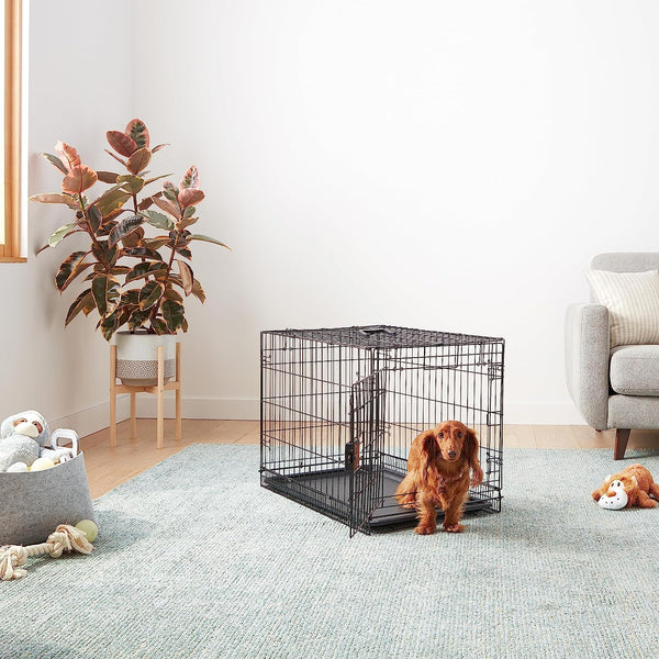 Amazon Basics Portable, Foldable Metal Wire Dog Crate with Removable Tray, Single Door, Divider Panel, Quick Setup, 30 X 19 X 21 In, Black5