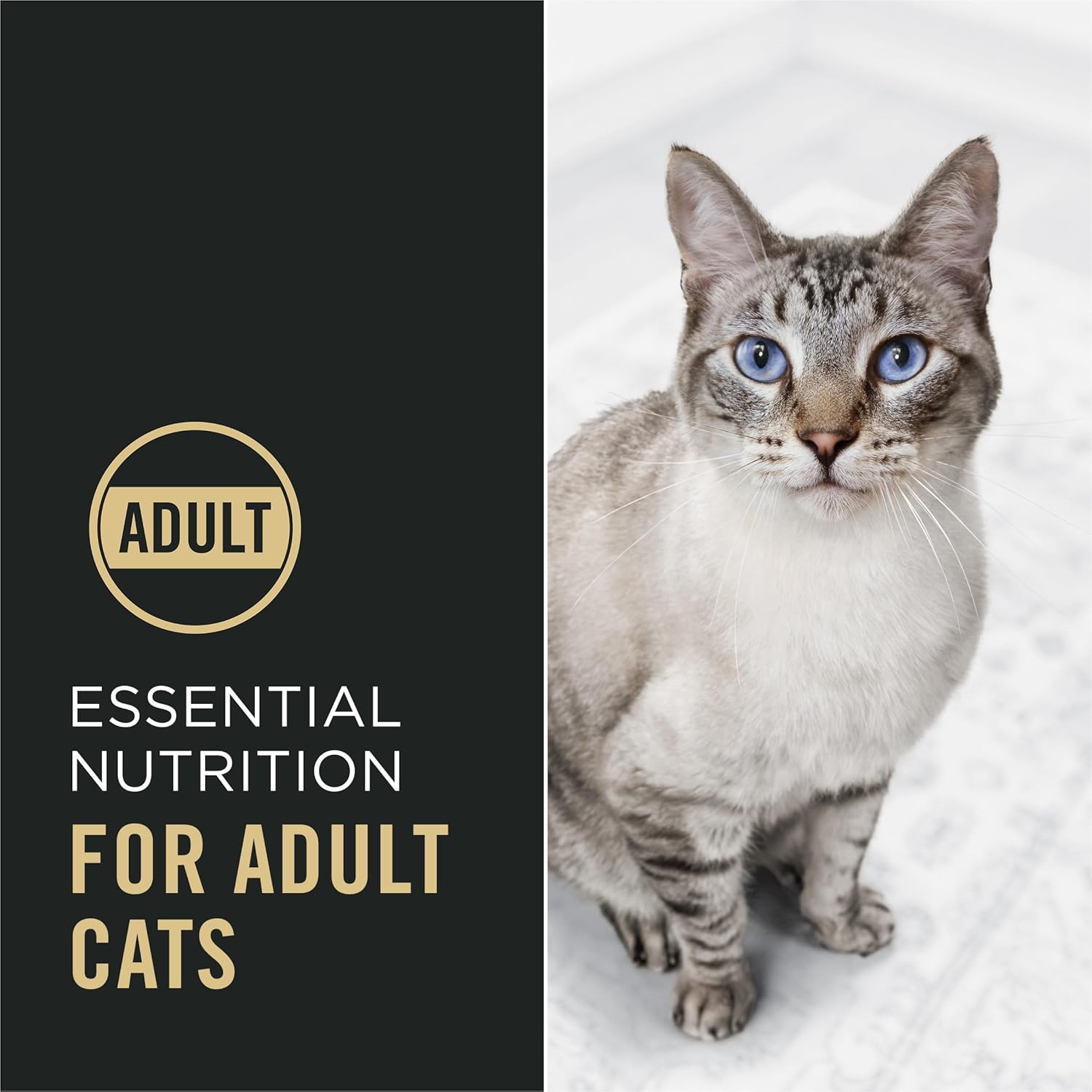 purina-pro-plan-high-protein-cat-food-with-probiotics-for-cats-chicken-and-rice-formula-7-lb-bag