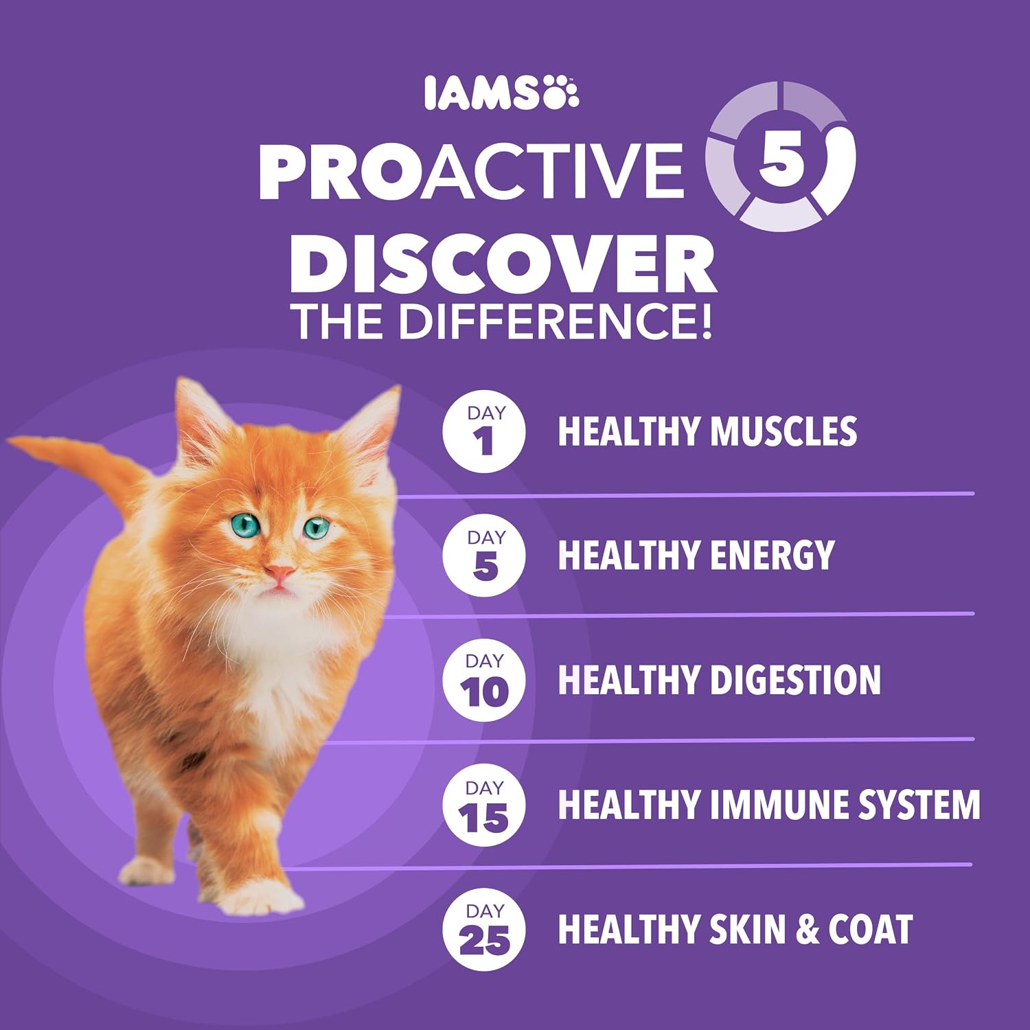 iams-proactive-health-healthy-kitten-dry-cat-food-chicken-3-5-lb-veterinarian-recommended-real-chicken-1-ingredient-omega-3-dha-taurine-supports-digestion-skin-health-immune-system