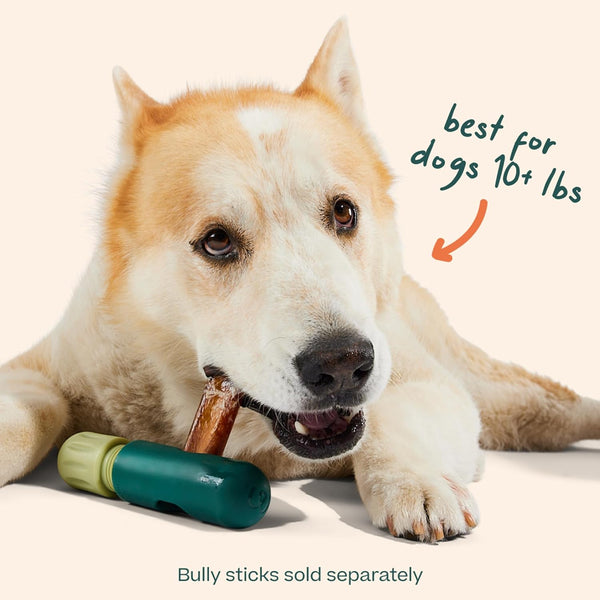 WOOF Bullysafe Bully Stick Holder for Dogs | Fits Dogs 10+ Lbs, Secures Bully Sticks, Extends Chew Time, Easy to Clean, Reusable Design6