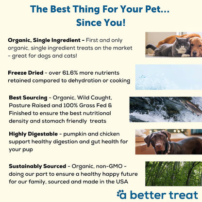 A Better Treat – Organic, Single Ingredient, Freeze Dried Pumpkin, Grass Fed & Finished Beef Liver, Chicken, Sweet Potato Dog Treats & Cat Treats | Natural, Healthy, Diabetic Friendly | Made in USA3