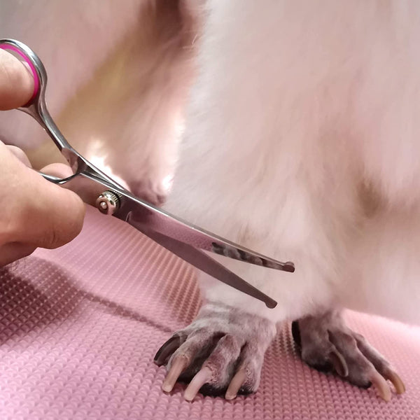 Dog Grooming Scissors Kit, Premium Stainless Steel Dog Shears with Curved Shears, Sharp Durable for Dogs Cats+Pink 3 Piece7