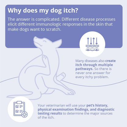 Miconahex+Triz Shampoo for Dogs, Cats and Horses, 8 Oz | Antibiofilm, Moisturizing; Packaging May Vary6