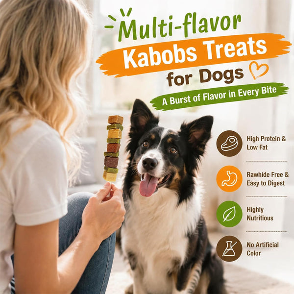 Dog Treats, Multi-Flavored Kabobs Dog Snacks, High Protein Dog Dental Chews | Made with Real Chicken, Duck, Beef, Rabbit, Salmon, Natural Dog Training Treats for Small Medium Large Dogs, 10.6Oz2