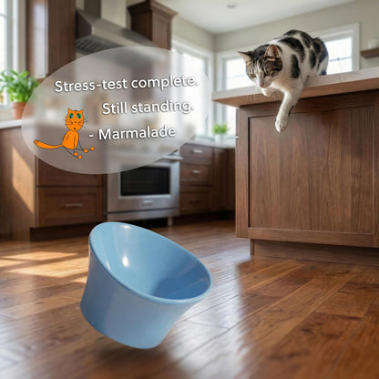 Elevated Cat Bowls for Water – Whisker & Neck Fatigue Shallow Cat Dishes – Raised Bowl for Indoor Cats – Vet-Recommended Height, Modern Pedestal Design – Non-Slip & Dishwasher-Safe – 8 Oz Powder Blue5
