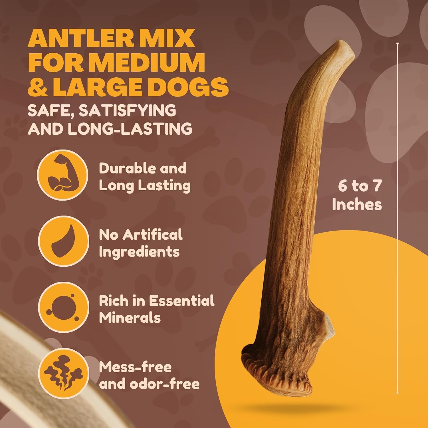 whitetail-naturals-whole-deer-antlers-for-dogs-1-lb-bulk-pack-4-5-ct-for-medium-large-aggressive-chewers-naturally-shed-wild-sourced-grade-a-long-lasting-crafted-in-usa