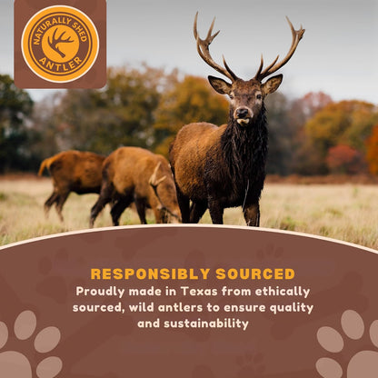 Whitetail Naturals Whole Deer Antlers for Dogs, 1 Lb Bulk Pack, 4-5 Ct | for Medium & Large Aggressive Chewers - Naturally Shed - Wild Sourced - Grade a - Long Lasting - Crafted in USA2