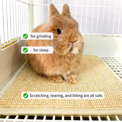 2PCS Rabbit Scratch Mat, Natural Bunny Pad Claws and Teeth Care, 16X12 | Bunny Scratching Pad Rabbit Mats for Cages, Rabbit Mat Chew Toys for Bunny Pet Cage Bedding for Biting Sleeping Nesting3