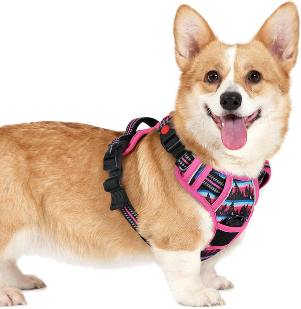 Rabbitgoo Dog Harness Medium Sized, Updated Easy on & off with 3 Buckles | No Pull No Choke, Walking with 2 Clips and Handle, Adjustable Soft Reflective, Blue, Medium65