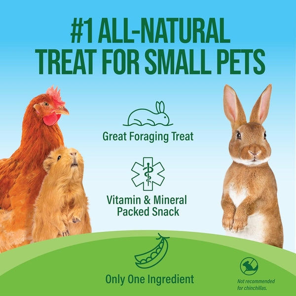Small Pet Select Pea Flakes Treats for Rabbits & Guinea Pigs, 1 Lb | Natural Wholesome Snack, High Fiber, for Bunnies, Hamsters, Chickens, Chinchillas & Small Pets2