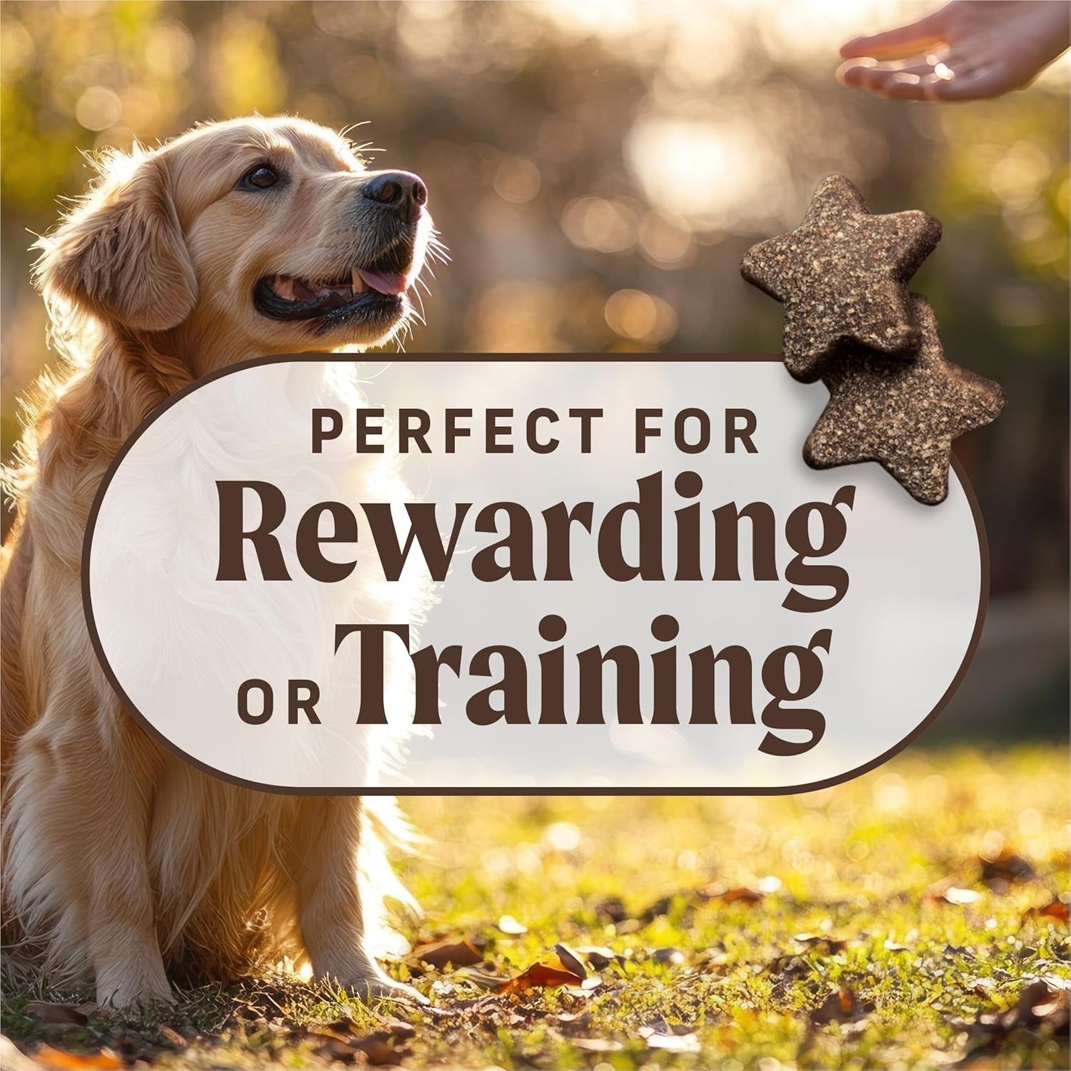 merrick-power-bites-salmon-recipe-healthy-dog-treats-real-salmon-grain-free-dog-snacks-6-oz-bag