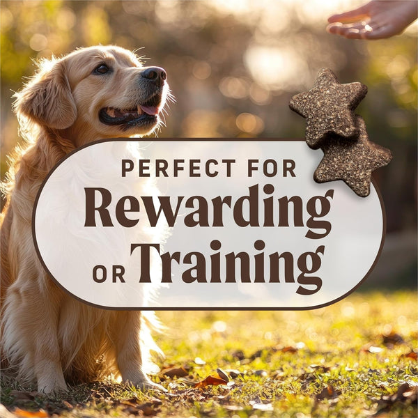 Merrick Power Bites Salmon Recipe Healthy Dog Treats, Real Salmon Grain-Free Dog Snacks, 6 Oz Bag5