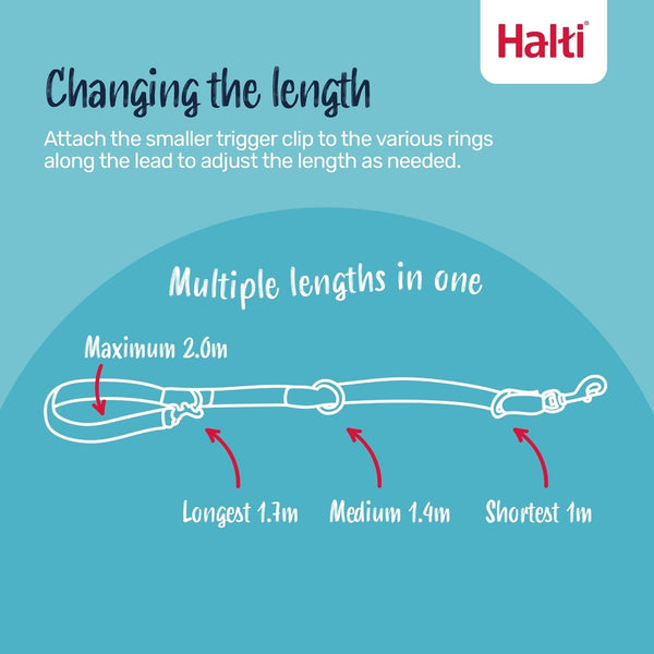 Halti No Pull Harness (Size Medium) & Training Leash (Size Large, Black) | Bundle | Stop Your Dog Pulling on the Leash | Adjustable, Lightweight and Easy to Use | Suitable for Medium Dogs4